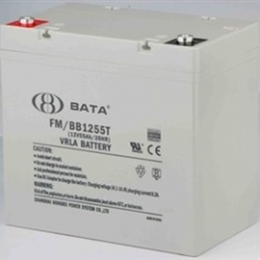 FM/BB1255T